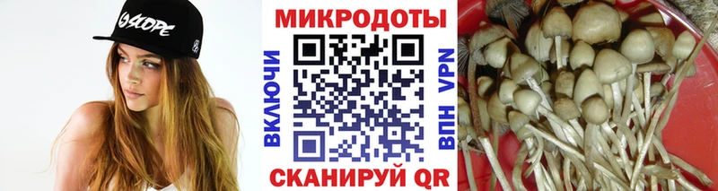 Купить где  Калач-на-Дону  Псилоцибиновые грибы Psilocybine cubensis 